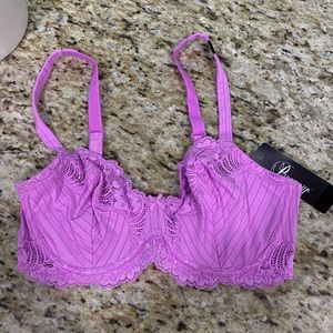 NWT Paramour Stripe Delight Lace Bra Purple 34D